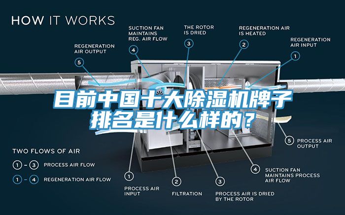 目前中國(guó)十大除濕機(jī)牌子排名是什么樣的？