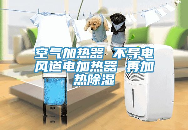 空氣加熱器 不導(dǎo)電風(fēng)道電加熱器 再加熱除濕