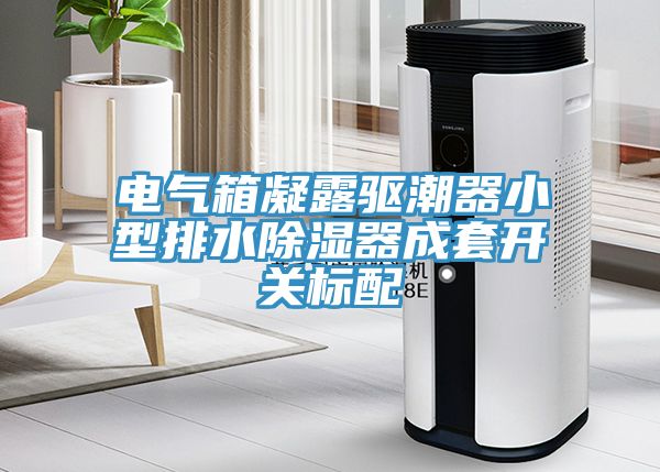 電氣箱凝露驅(qū)潮器小型排水除濕器成套開關(guān)標配