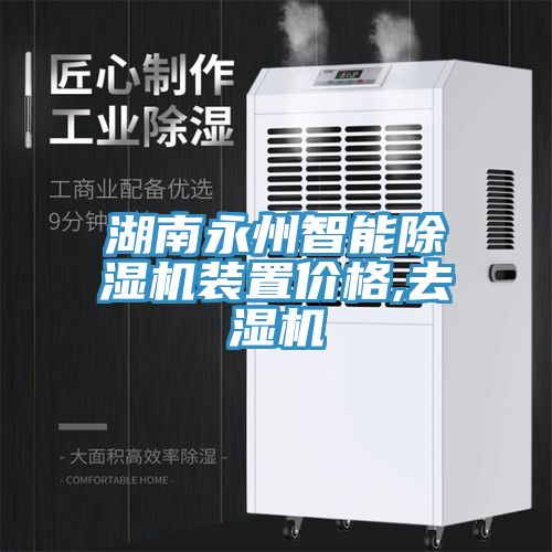 湖南永州智能除濕機(jī)裝置價(jià)格,去濕機(jī)