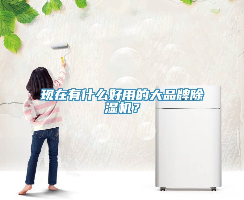 現(xiàn)在有什么好用的大品牌除濕機(jī)？