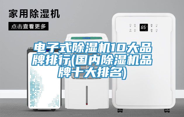 電子式除濕機10大品牌排行(國內(nèi)除濕機品牌十大排名)