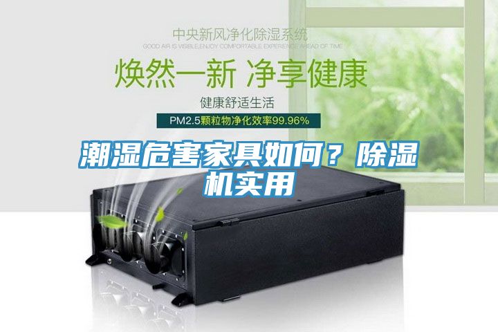 潮濕危害家具如何？除濕機實用