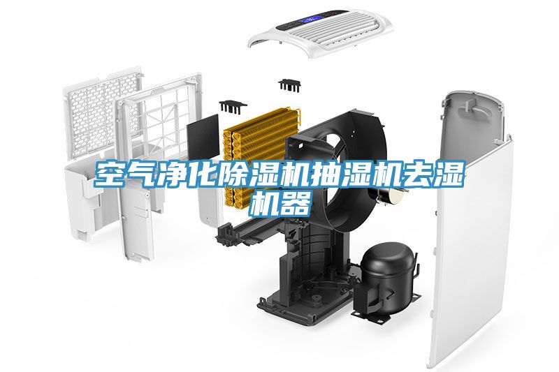 空氣凈化除濕機(jī)抽濕機(jī)去濕機(jī)器