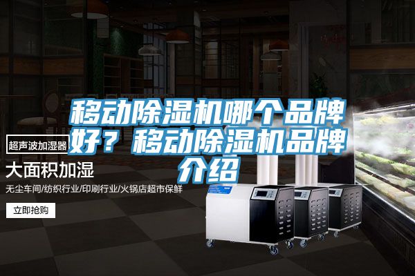 移動除濕機哪個品牌好？移動除濕機品牌介紹