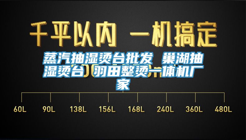 蒸汽抽濕燙臺批發(fā) 巢湖抽濕燙臺 羽田整燙一體機(jī)廠家