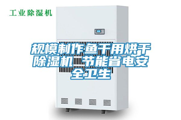 規(guī)模制作魚干用烘干除濕機 節(jié)能省電安全衛(wèi)生