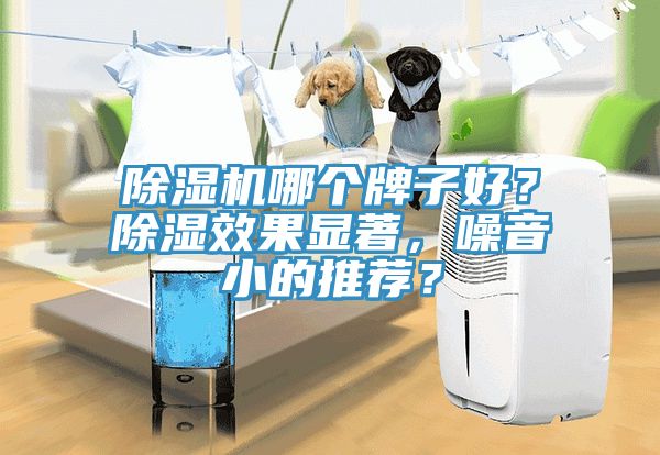 除濕機哪個牌子好？除濕效果顯著，噪音小的推薦？