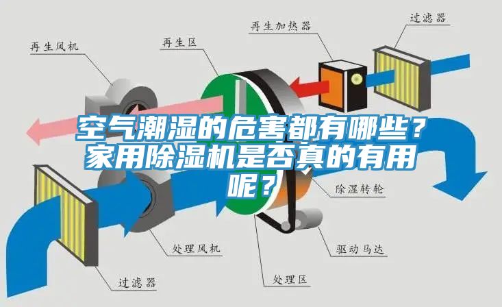 空氣潮濕的危害都有哪些？家用除濕機是否真的有用呢？