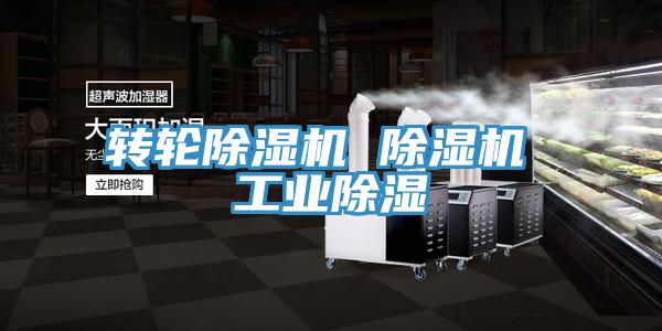 轉輪除濕機 除濕機 工業(yè)除濕