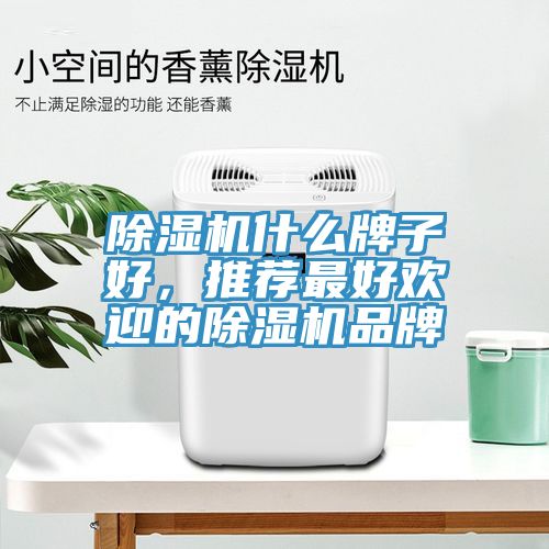 除濕機什么牌子好，推薦最好歡迎的除濕機品牌