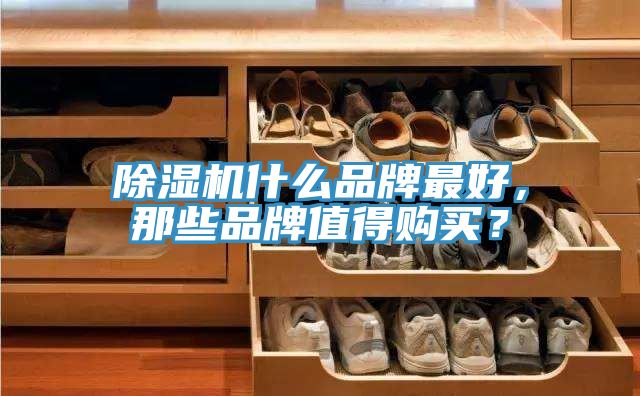 除濕機什么品牌最好，那些品牌值得購買？