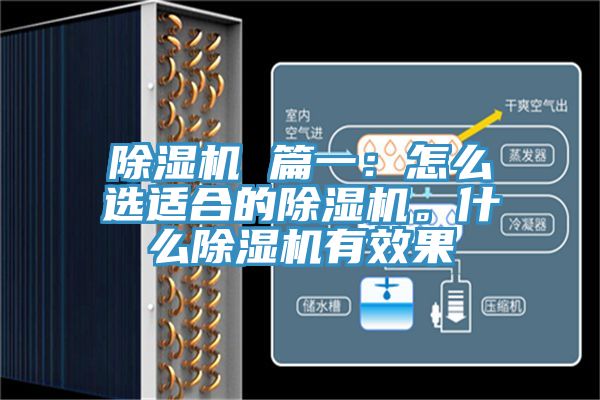 除濕機 篇一：怎么選適合的除濕機。什么除濕機有效果