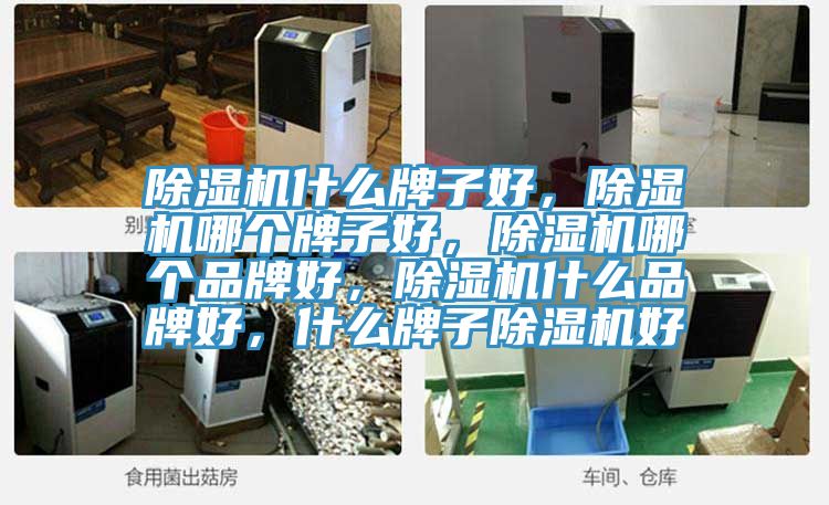 除濕機什么牌子好，除濕機哪個牌子好，除濕機哪個品牌好，除濕機什么品牌好，什么牌子除濕機好