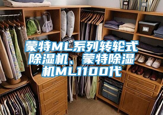 蒙特ML系列轉(zhuǎn)輪式除濕機、蒙特除濕機ML1100代