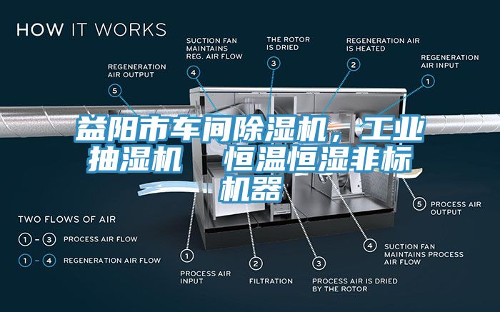 益陽市車間除濕機，工業(yè)抽濕機  恒溫恒濕非標機器