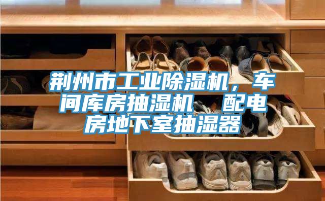 荊州市工業(yè)除濕機，車間庫房抽濕機  配電房地下室抽濕器