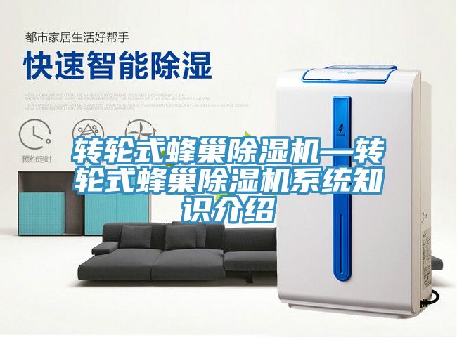 轉輪式蜂巢除濕機—轉輪式蜂巢除濕機系統(tǒng)知識介紹