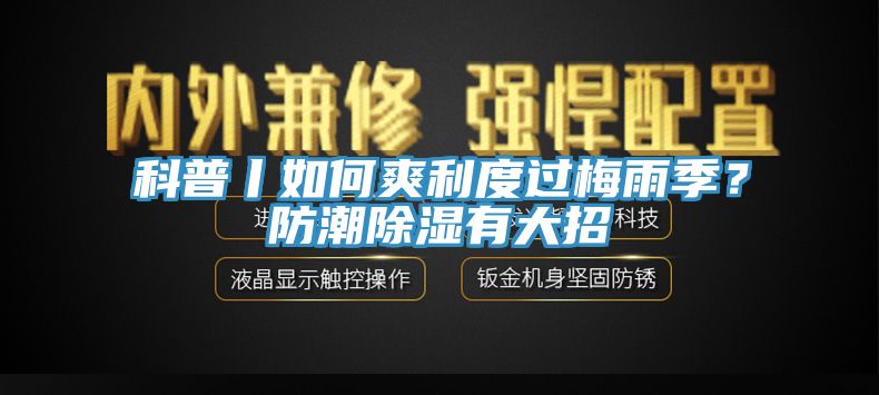 科普丨如何爽利度過梅雨季？防潮除濕有大招