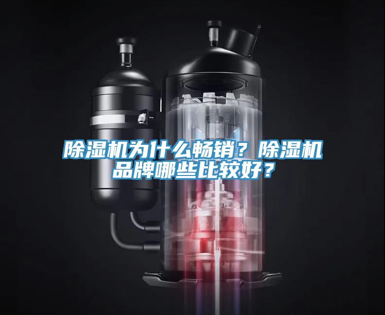 除濕機(jī)為什么暢銷？除濕機(jī)品牌哪些比較好？