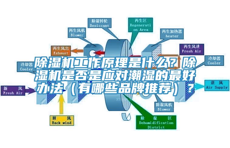 除濕機(jī)工作原理是什么？除濕機(jī)是否是應(yīng)對(duì)潮濕的最好辦法（有哪些品牌推薦）？