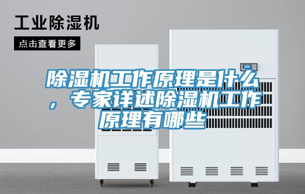 除濕機工作原理是什么，專家詳述除濕機工作原理有哪些