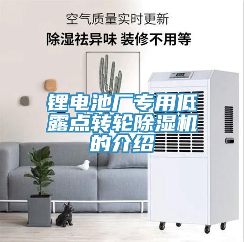 鋰電池廠專用低露點(diǎn)轉(zhuǎn)輪除濕機(jī)的介紹