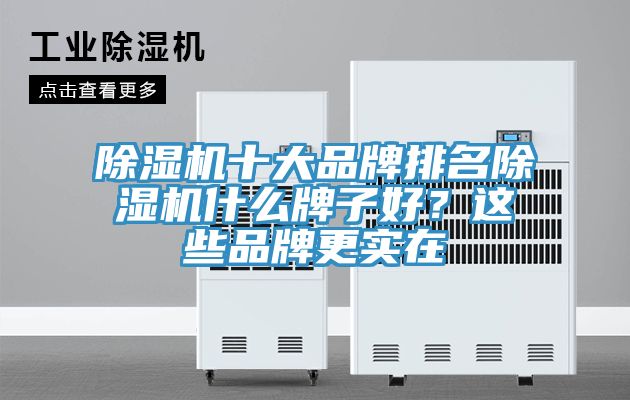 除濕機十大品牌排名除濕機什么牌子好？這些品牌更實在