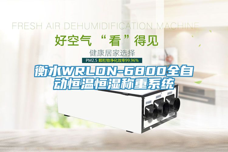 衡水WRLDN-6800全自動恒溫恒濕稱重系統(tǒng)