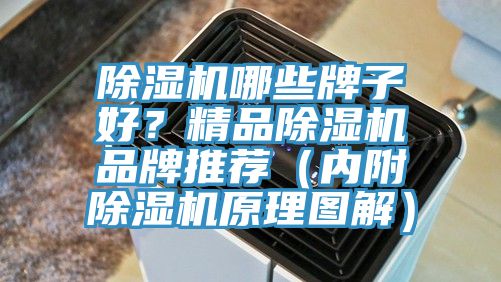 除濕機哪些牌子好？精品除濕機品牌推薦（內(nèi)附除濕機原理圖解）