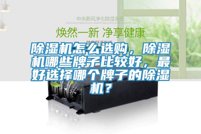 除濕機怎么選購，除濕機哪些牌子比較好，最好選擇哪個牌子的除濕機？