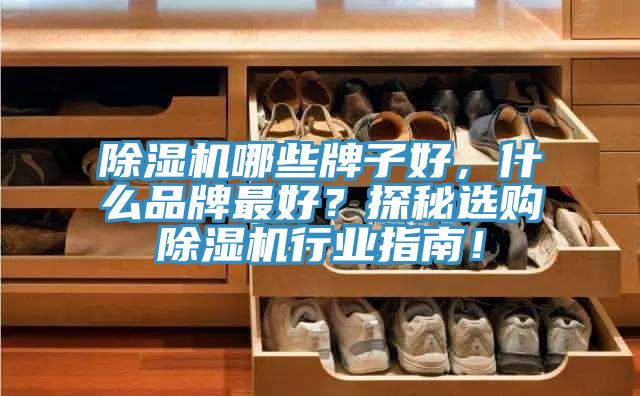 除濕機哪些牌子好，什么品牌最好？探秘選購除濕機行業(yè)指南！