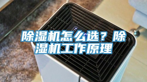 除濕機怎么選？除濕機工作原理