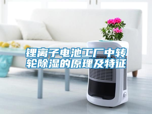 鋰離子電池工廠中轉(zhuǎn)輪除濕的原理及特征