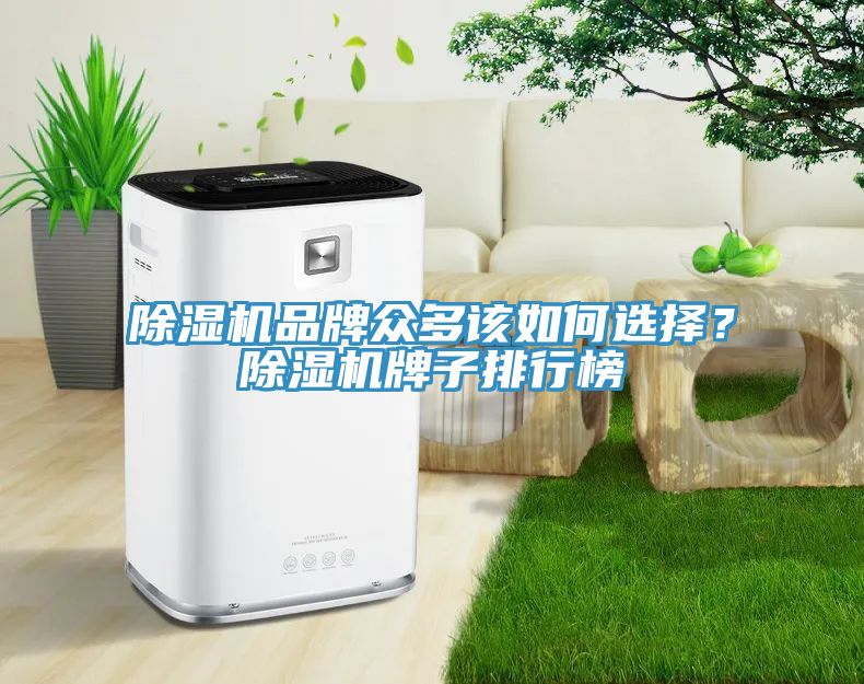 除濕機品牌眾多該如何選擇？除濕機牌子排行榜