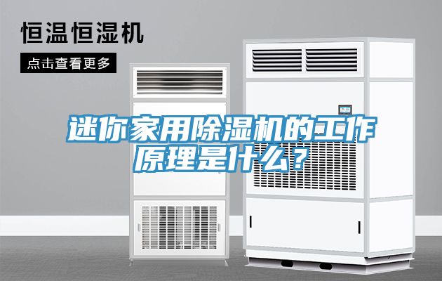 迷你家用除濕機(jī)的工作原理是什么？