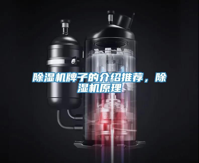 除濕機牌子的介紹推薦，除濕機原理