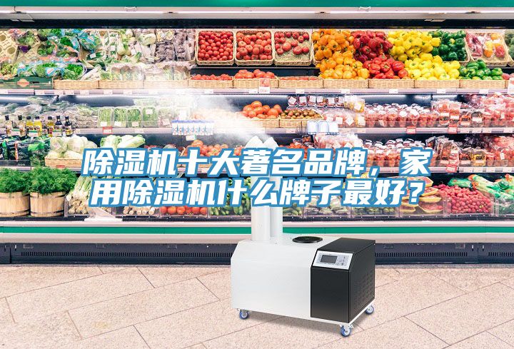 除濕機十大著名品牌，家用除濕機什么牌子最好？