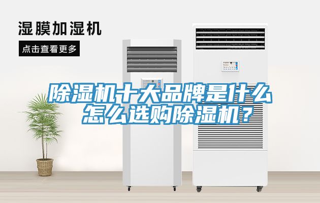 除濕機(jī)十大品牌是什么 怎么選購除濕機(jī)？