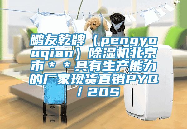 鵬友乾牌（pengyouqian）除濕機北京市＊＊具有生產(chǎn)能力的廠家現(xiàn)貨直銷PYQ／20S