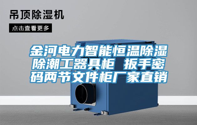 金河電力智能恒溫除濕除潮工器具柜 扳手密碼兩節(jié)文件柜廠家直銷(xiāo)