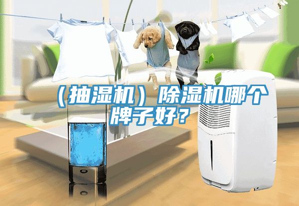 （抽濕機）除濕機哪個牌子好？