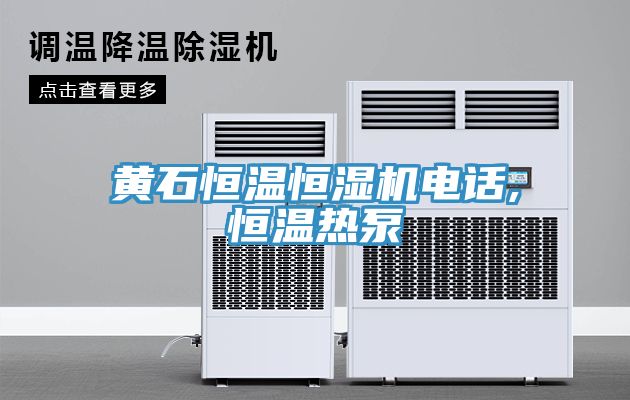 黃石恒溫恒濕機電話,恒溫熱泵