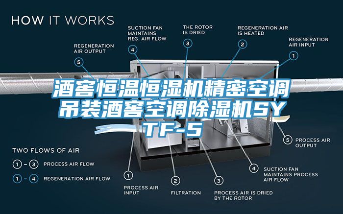 酒窖恒溫恒濕機(jī)精密空調(diào)吊裝酒窖空調(diào)除濕機(jī)SYTF-5