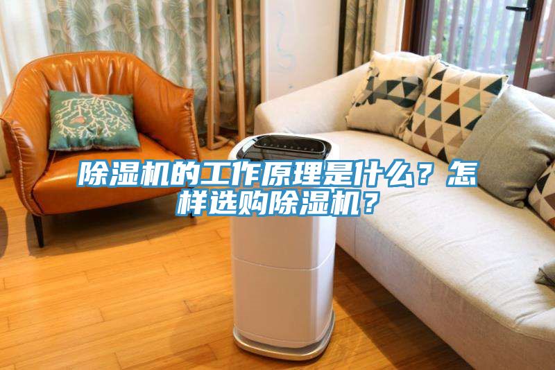 除濕機的工作原理是什么？怎樣選購除濕機？